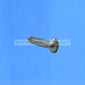 CAST034 Retaining Screw